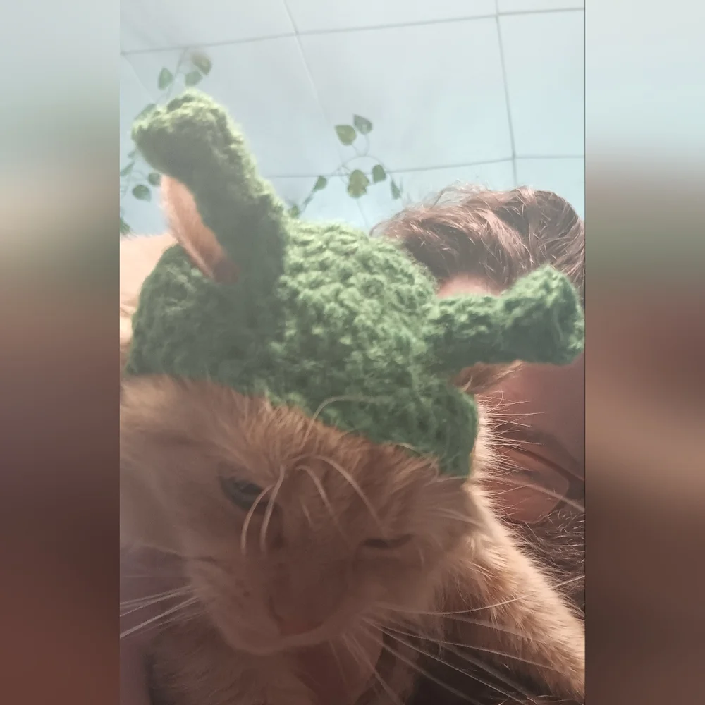 Cat Hats For SALE!!!